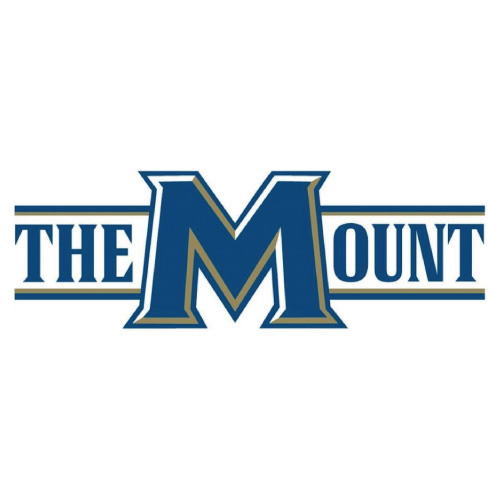 Mount St Marys Mountaineers Logo T-shirts Iron On Transfers N521